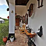 Bakonyi Kis-lak