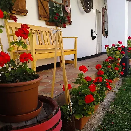 Bakonyi Kis-lak Nyaraló *