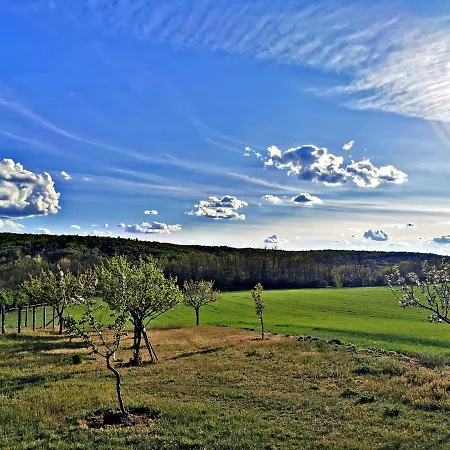 Bakonyi Kis-lak Bakonykoppány
